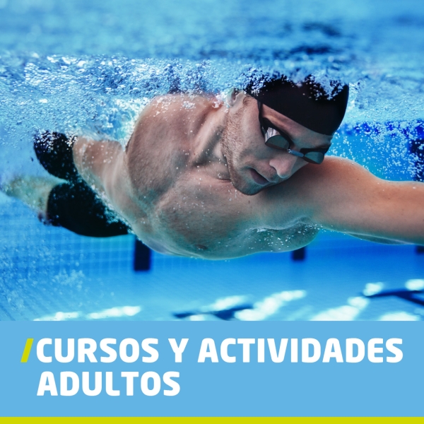 Cursos para adultos la cebada